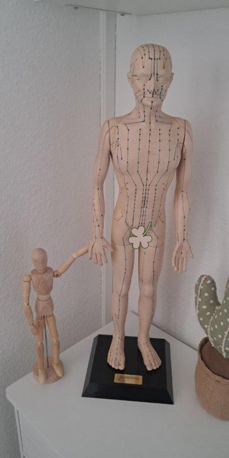 Ein Körpermodell mit Akupunkturpunkten sowie ein kleineres Holzkörpermodell die so aufgestellt sind als hielten sie Hände.